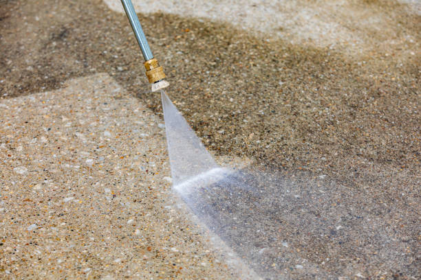 Animal Enclosure Cleaning in Palm Springs North, FL